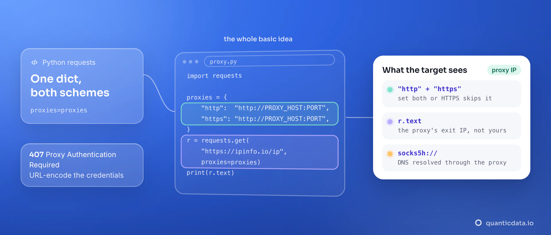 Python requests code with a proxies dict that sets both the http and https keys to the proxy endpoint, then requests.get through it; the result card shows the target seeing the proxy's exit IP, not yours, and socks5h for DNS through the proxy.