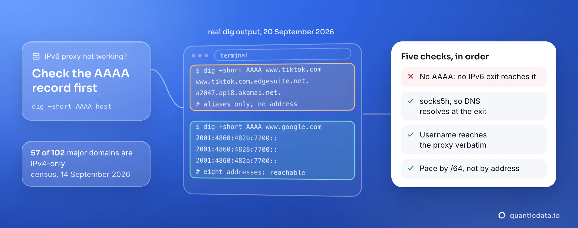 Real dig output of 20 September 2026: www.tiktok.com returns only aliases and no AAAA address, so no IPv6 proxy can reach it, while www.google.com returns IPv6 addresses; the card lists the five checks, starting with the AAAA record, then socks5h, credentials and pacing by /64.