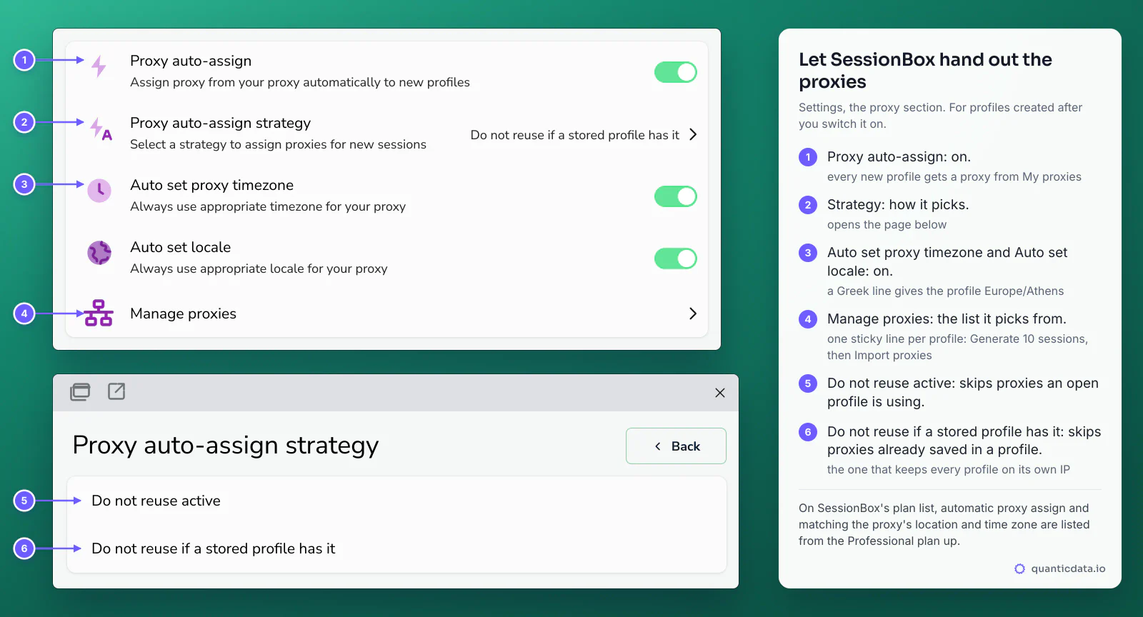 SessionBox One Settings, proxy section: Proxy auto-assign on, Proxy auto-assign strategy set to Do not reuse if a stored profile has it, Auto set proxy timezone and Auto set locale on, Manage proxies; below, the strategy page with Do not reuse active and Do not reuse if a stored profile has it, explained in six numbered notes
