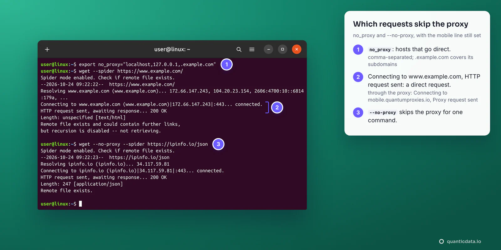 A terminal with no_proxy set to localhost,127.0.0.1,.example.com: wget --spider https://www.example.com/ connects straight to www.example.com and prints HTTP request sent, and wget --no-proxy --spider https://ipinfo.io/json skips the proxy for one command, with three numbered steps beside it