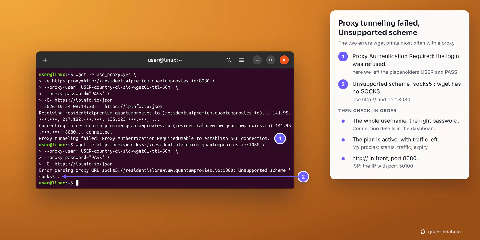 A terminal with two real wget proxy errors: Proxy tunneling failed: Proxy Authentication RequiredUnable to establish SSL connection when the login is wrong, here the placeholders USER and PASS, and Error parsing proxy URL socks5://...: Unsupported scheme socks5; beside it what to check in order: the whole username and the right password, an active plan with traffic left, http:// with port 8080