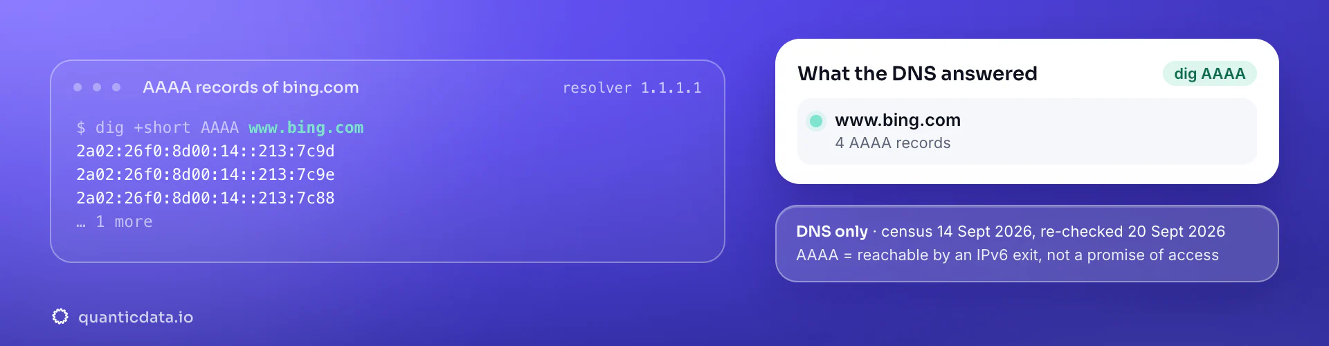 Real dig output for Bing: www.bing.com answers with 4 AAAA records. DNS census 14 Sept 2026, re-checked 20 Sept 2026.