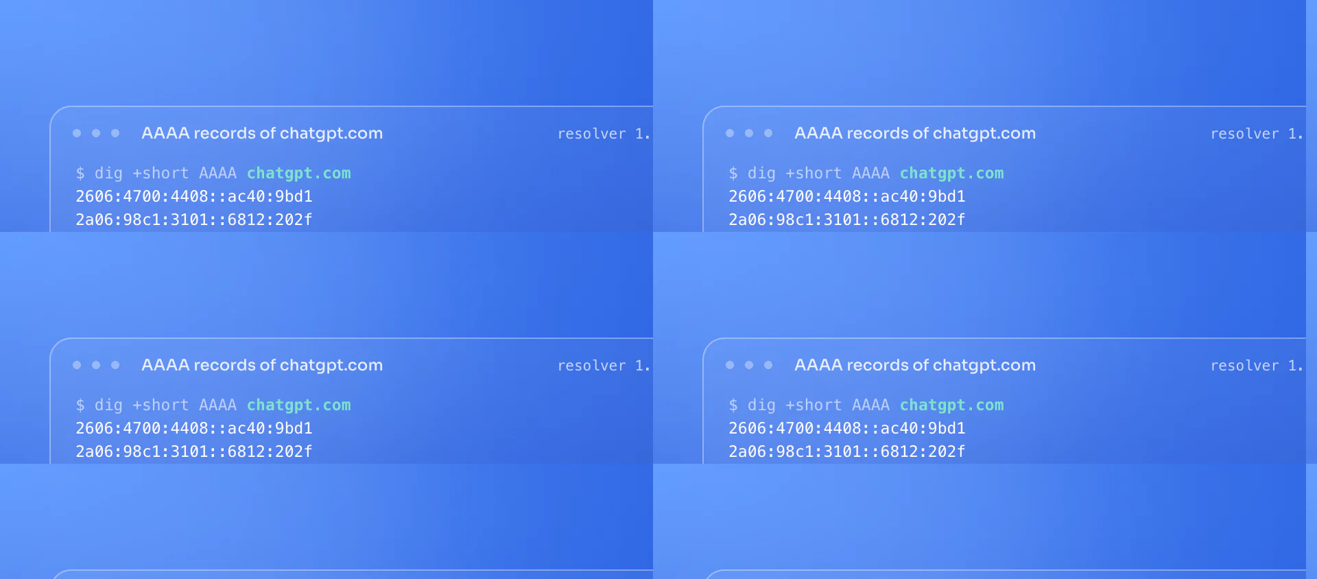 Real dig output for ChatGPT: chatgpt.com answers with 2 AAAA records, api.openai.com answers with 2 AAAA records, platform.openai.com answers with 2 AAAA records, openai.com has no AAAA record. DNS checked 20 Sept 2026.
