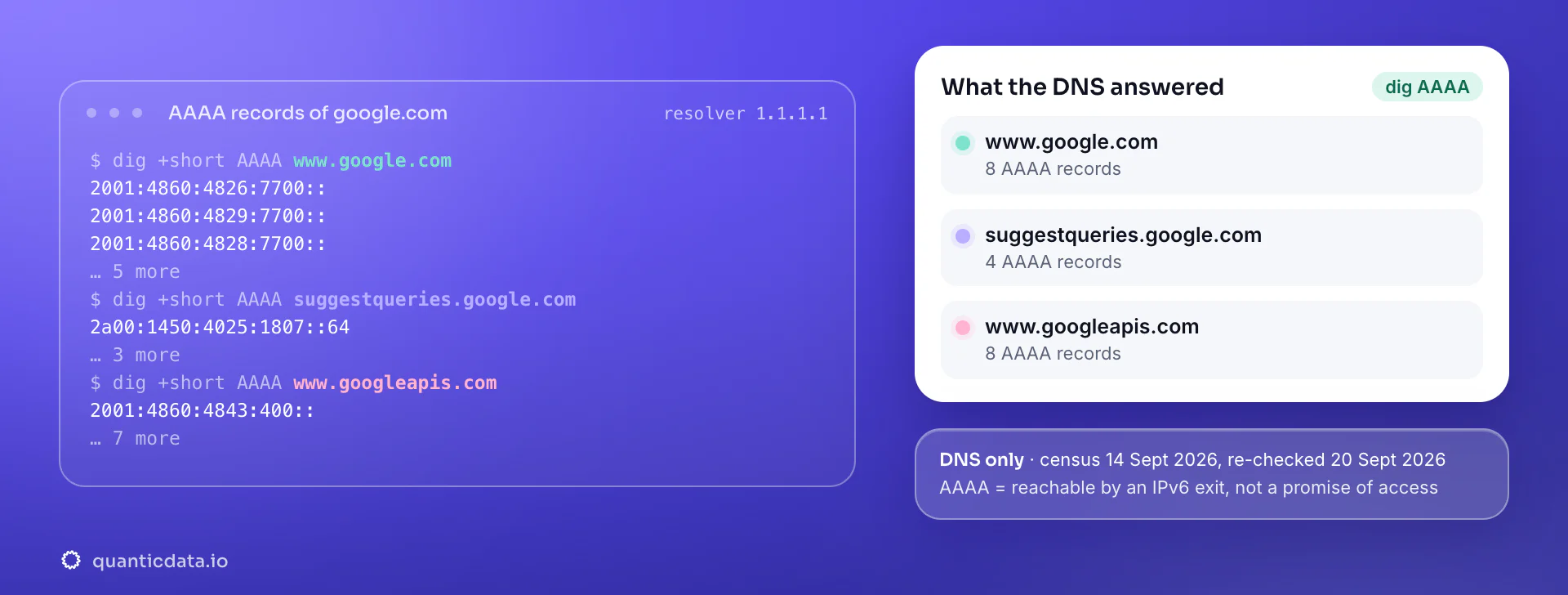 Real dig output for Google: www.google.com answers with 8 AAAA records, suggestqueries.google.com answers with 4 AAAA records, www.googleapis.com answers with 8 AAAA records. DNS census 14 Sept 2026, re-checked 20 Sept 2026.