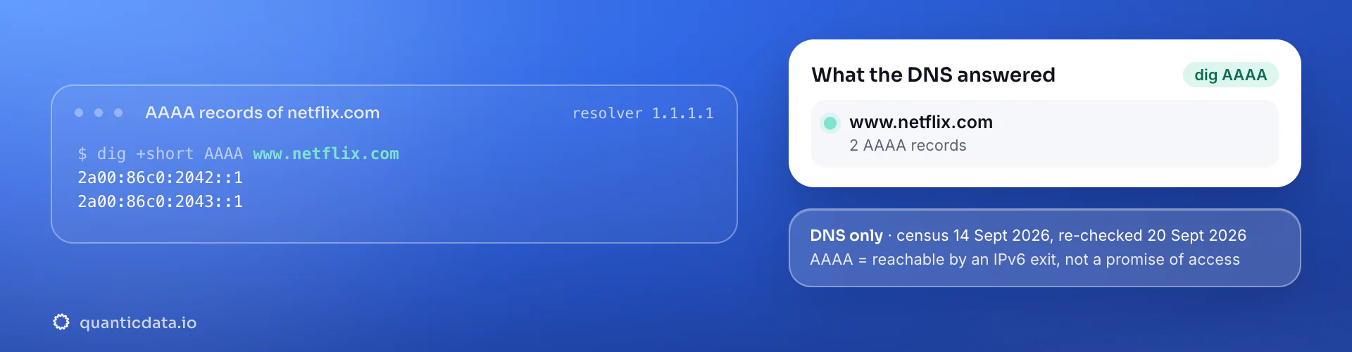 Real dig output for Netflix: www.netflix.com answers with 2 AAAA records. DNS census 14 Sept 2026, re-checked 20 Sept 2026.